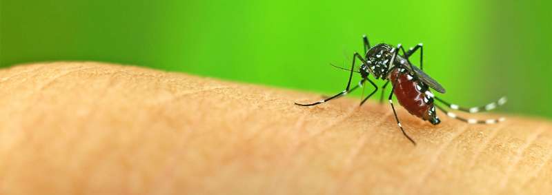 Post-Construction Termite Treatment Post-Construction Termite Treatment